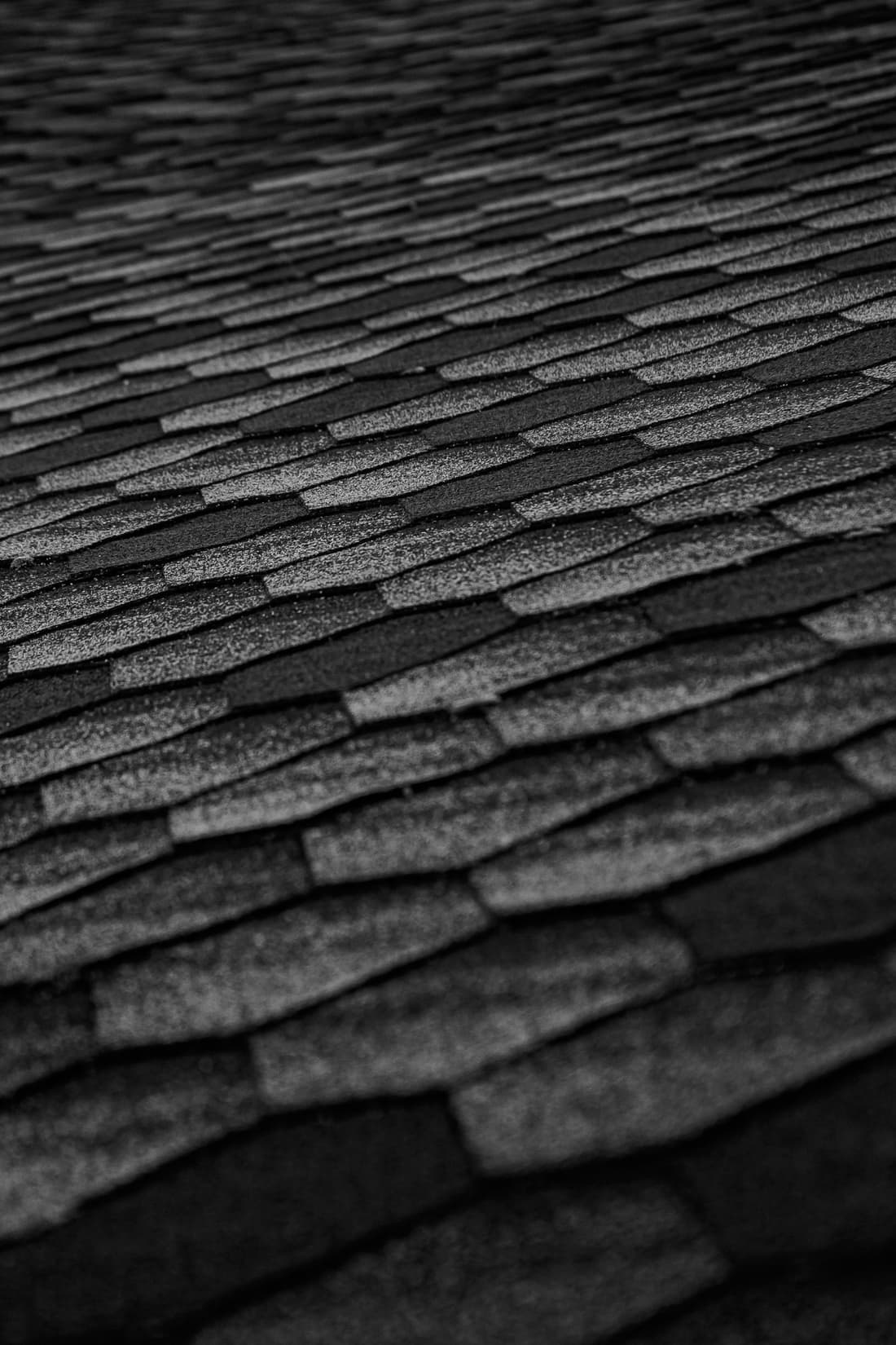 Close-up of dark architectural asphalt shingles