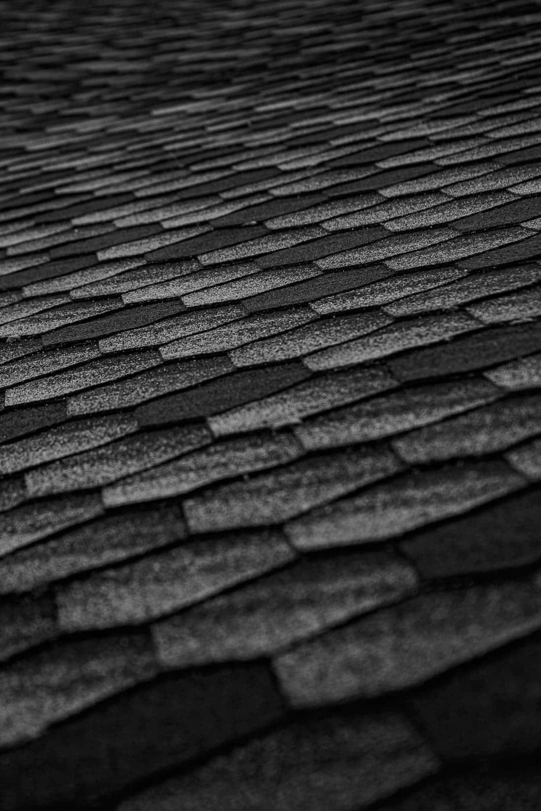 Close-up of dark architectural asphalt shingles