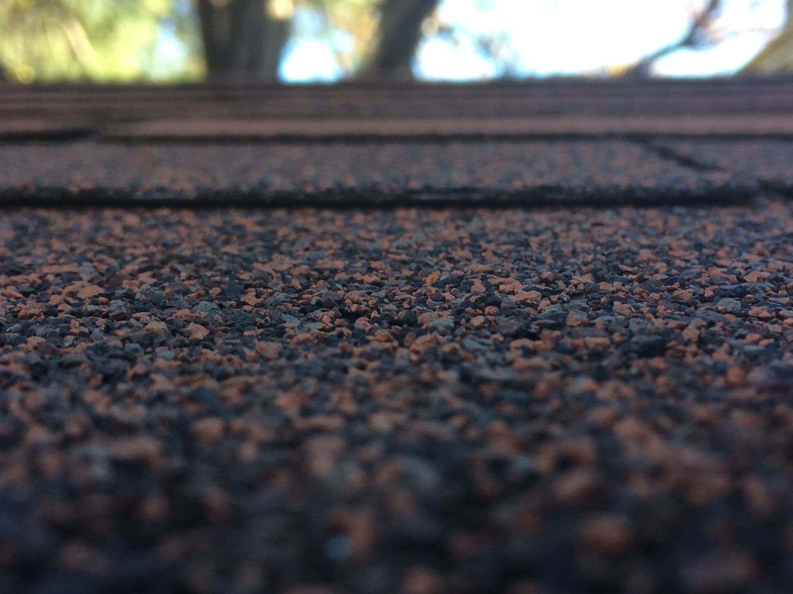 Close-up of asphalt shingle granules, where hail bruising and granule loss show